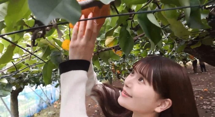 逮捕された超人気配信者ネオペイの配信停止無修正作品「顔出し！！某有名女学院を卒業・・・大自然の中で快楽に溺れ絶頂を繰り返す美女に生中出し！」-001